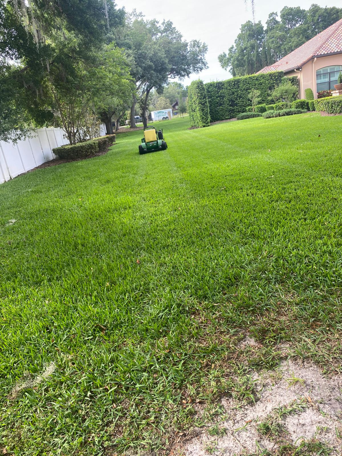 Grass Cutting