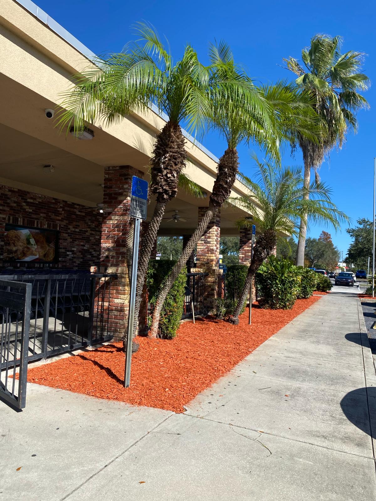 Picture of trimmed bush