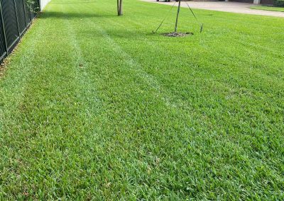 Residential Grass Cutting